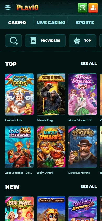 Playio Casino mobile browser games interface